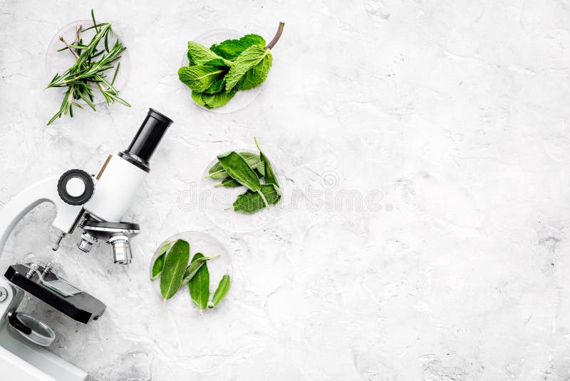 食品分析 杀虫剂释放菜 草本迷迭香,在灰色背景顶视图拷贝空间的薄荷的近的显微镜 库存图片 食品分析 杀虫剂释放菜 草本迷迭香,在灰色背景顶视图拷贝空间的薄荷的近的显微镜 库存图片