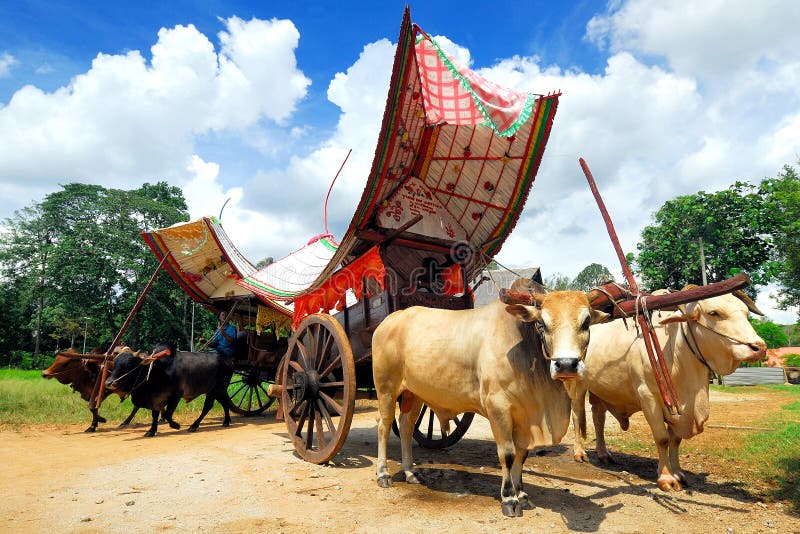 Malacca Bullock Cart is an transportation in Malaysia and nowadays used for carry tourist for a ride. Malacca Bullock Cart is an transportation in Malaysia and nowadays used for carry tourist for a ride.