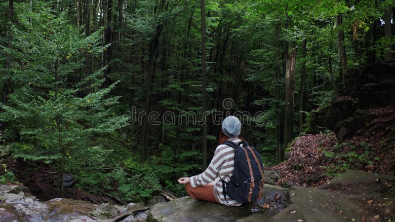 高悬崖上的骑士妇女眺望遥远的风景林 森林的冥想