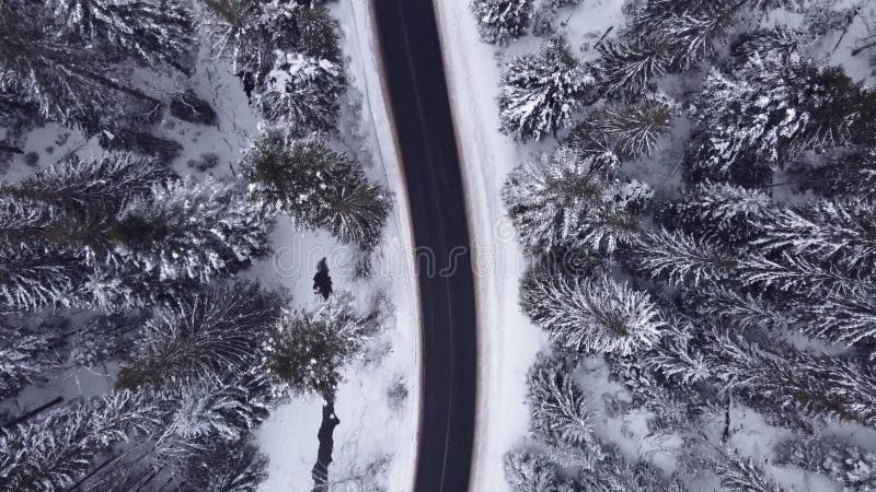 高空俯视雪林山，驾驶汽车驾驶冬路.