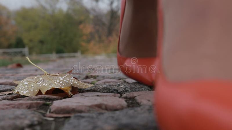 高跟鞋的妇女走在街道上的在秋天