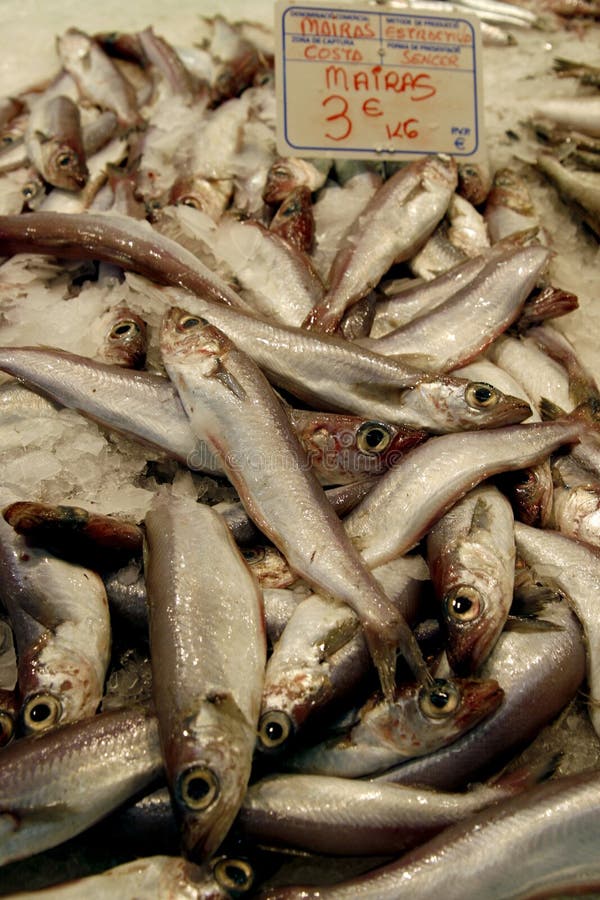 鱼新鲜市场堆西班牙语