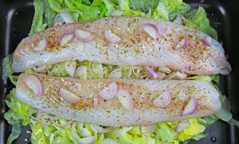 Preparation of fish meal: Isolated oven tray with 2 fresh raw codfish fillets poached on pointed cabbage seasoned with onions, cumin, garlic and pepper. Preparation of fish meal: Isolated oven tray with 2 fresh raw codfish fillets poached on pointed cabbage seasoned with onions, cumin, garlic and pepper