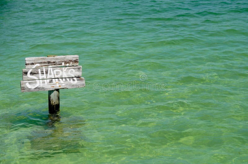 Danger Sharks sign in Turquoise Water. Danger Sharks sign in Turquoise Water