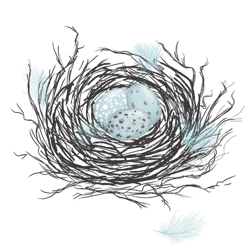 Robin nest, eggs and feathers are hand-drawn in Illustrator with charcoal brushes to create an effect of pencil drawing. Robin nest, eggs and feathers are hand-drawn in Illustrator with charcoal brushes to create an effect of pencil drawing.