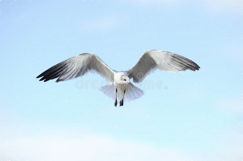 鸟飞行 向量例证