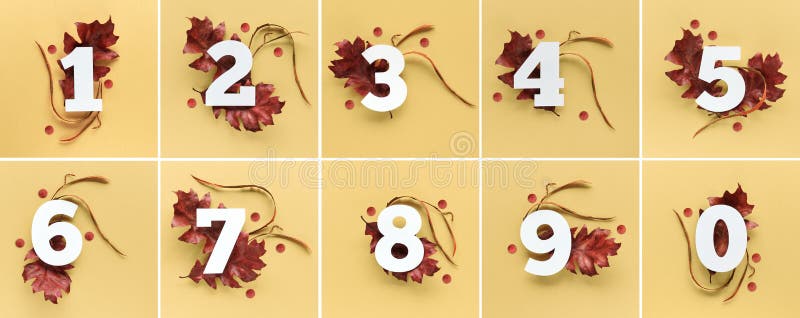 Numbers one to ten and zero with red autumn oak leaves and natural leaf confetti on vibrant yellow paper background. Copy-space, place for greeting text on white paper heart. Flat lay design elements. Numbers one to ten and zero with red autumn oak leaves and natural leaf confetti on vibrant yellow paper background. Copy-space, place for greeting text on white paper heart. Flat lay design elements