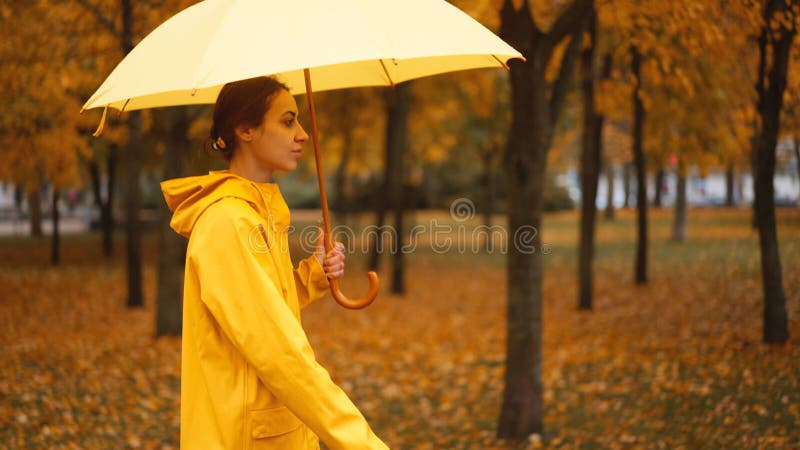 黄色雨伞慢动雨城公园的女孩. 侧视伞下躲在雨滴中的年轻女子. 行走