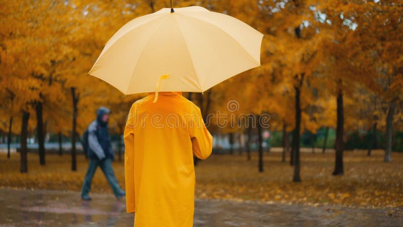 黄色雨伞慢动雨城公园的女孩. 躲在雨伞里的年轻女子. 走路