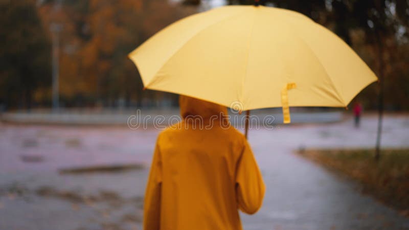 黄色雨伞慢动雨城公园的女孩. 躲在雨伞里的年轻女子. 走路