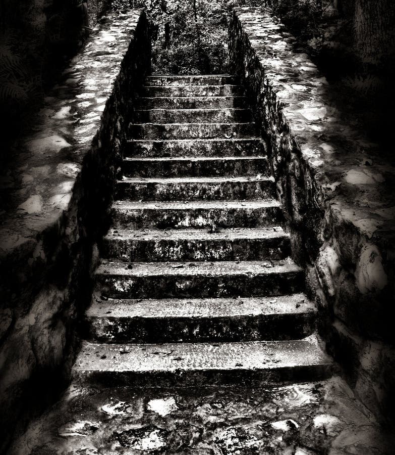 A black and white view of a stone staircase in a forest, edited to look dark and eerie. A black and white view of a stone staircase in a forest, edited to look dark and eerie.