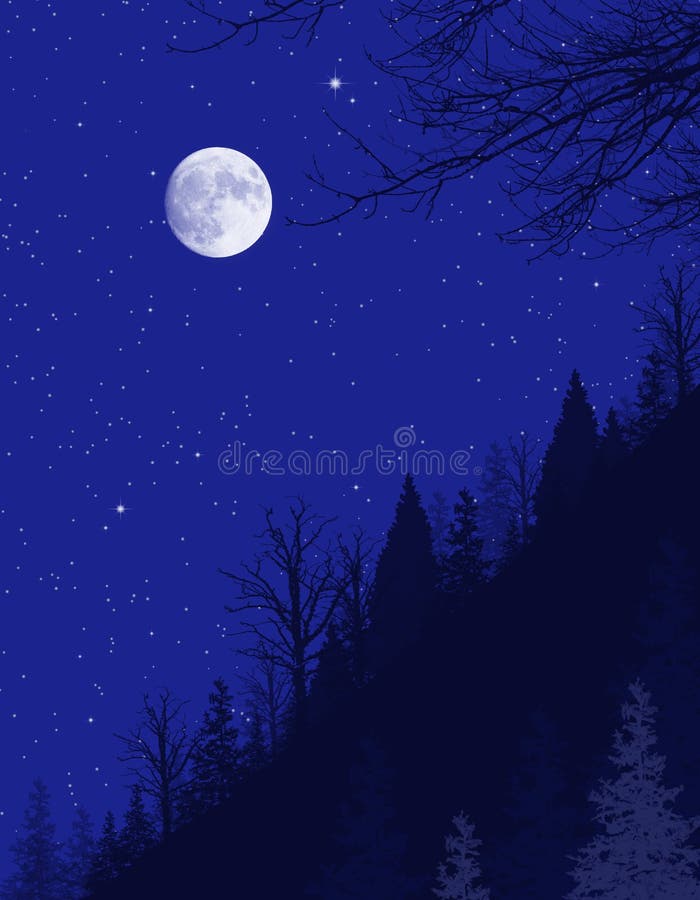 Winter moon lite night background with stars and trees. Winter moon lite night background with stars and trees