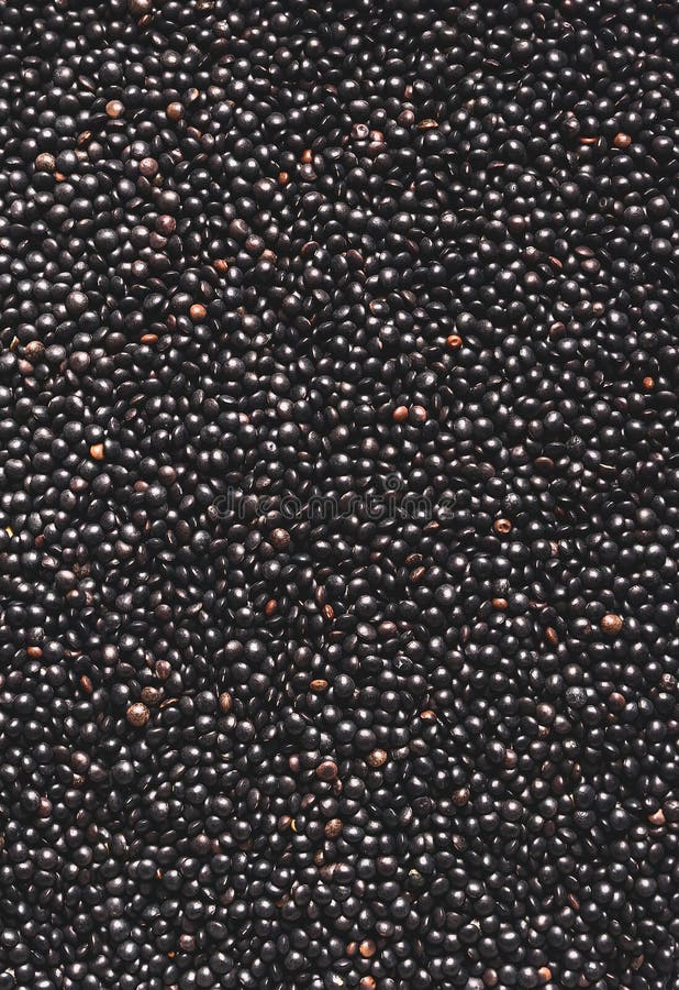 黑色扁豆背景 富含蛋白质的纯素食品 植物基蛋白源 顶视图 纹理 免版税库存图片 黑色扁豆背景 富含蛋白质的纯素食品 植物基蛋白源 顶视图 纹理 免版税库存图片
