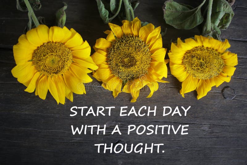 Inspirational motivational quote - Start each day with a positive thought. With yellow sun flowers on rustic wooden table. Background. Words of wisdom concept, text, notes, message, positivity, inspire, sunflower, summer, nature, sunflowers, plant, blossom, isolated, beauty, green, white, floral, garden, bright, leaf, petal, bloom, beautiful, spring, color, classic, brown, board, new, morning, monday, card, printable, poster. Inspirational motivational quote - Start each day with a positive thought. With yellow sun flowers on rustic wooden table. Background. Words of wisdom concept, text, notes, message, positivity, inspire, sunflower, summer, nature, sunflowers, plant, blossom, isolated, beauty, green, white, floral, garden, bright, leaf, petal, bloom, beautiful, spring, color, classic, brown, board, new, morning, monday, card, printable, poster