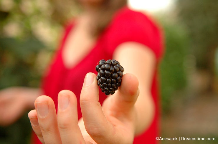 Girl holding blackberry