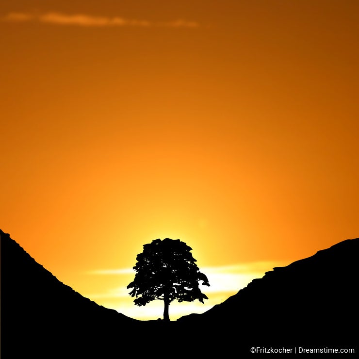 model release for deceased relative Dreamstime