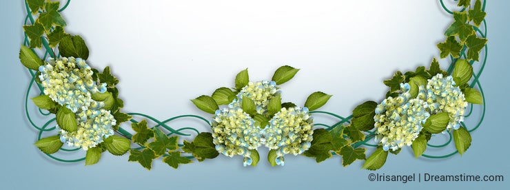 Ivy Hydrangea floral border Wedding invitation