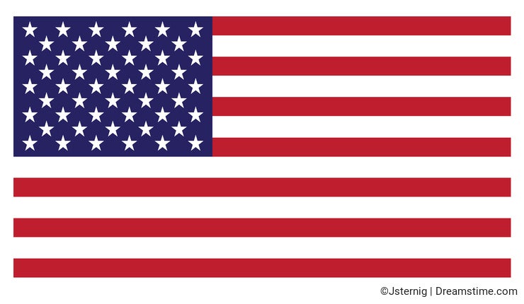 United States of America/American flag (Vector Available)