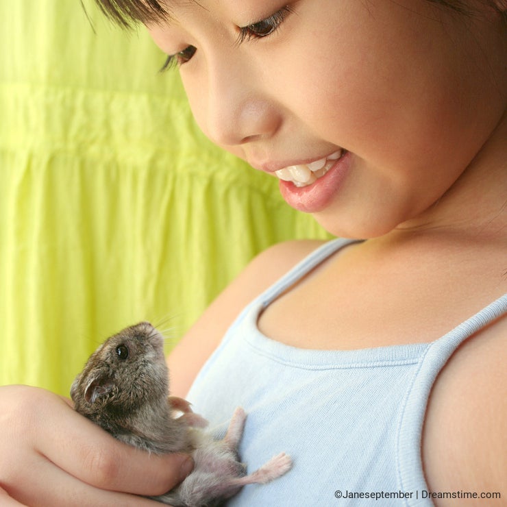 Girl & hamster