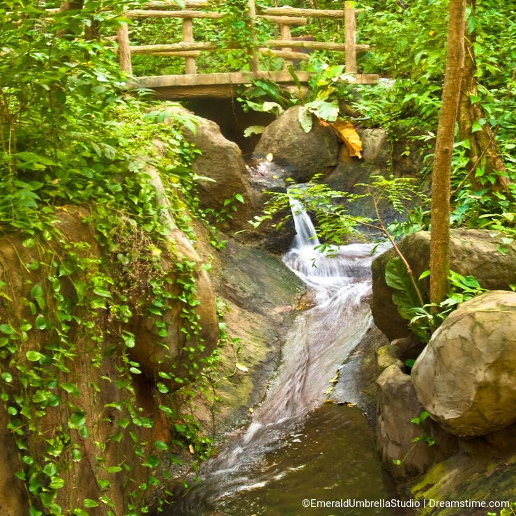 Tropical Waterfall
