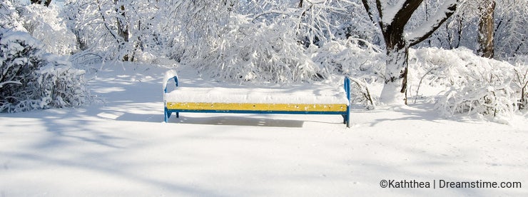 A bench in the snow under the tree