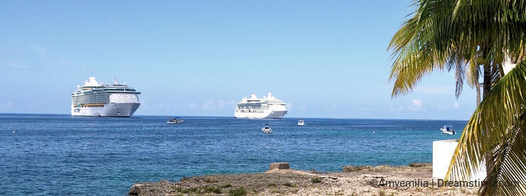 Cruise ships from the shore