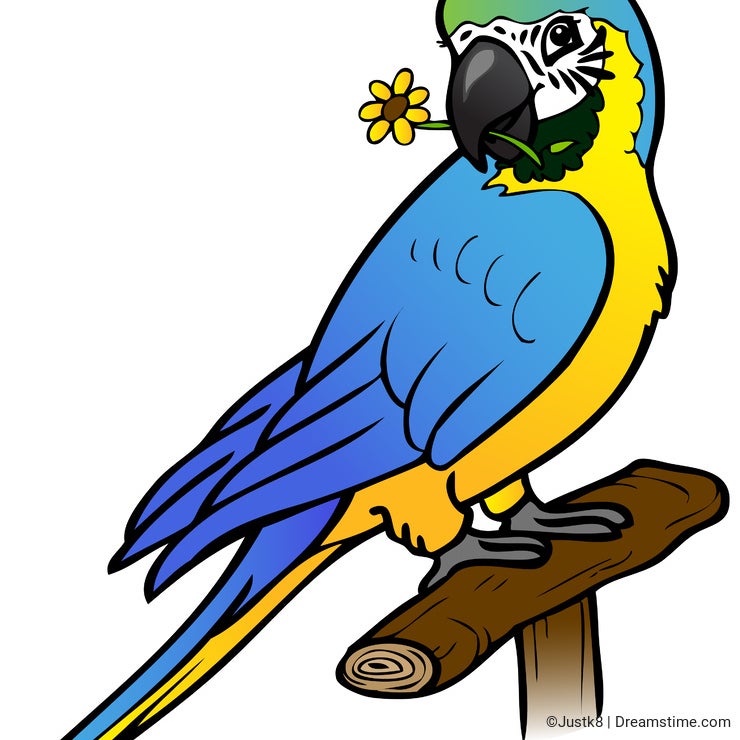 Cute parrot with flower
