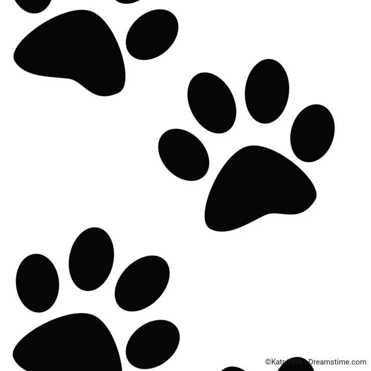 Paw Prints of Dog or Cat