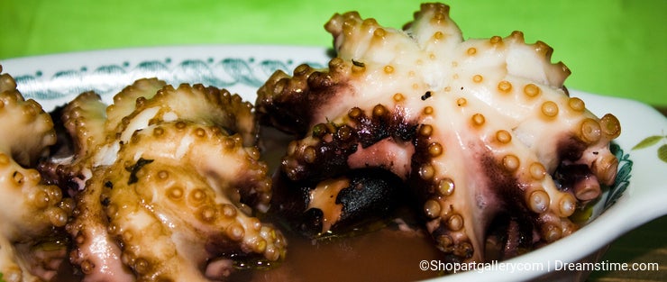 Italian Cuisine - Octopus - Closeup