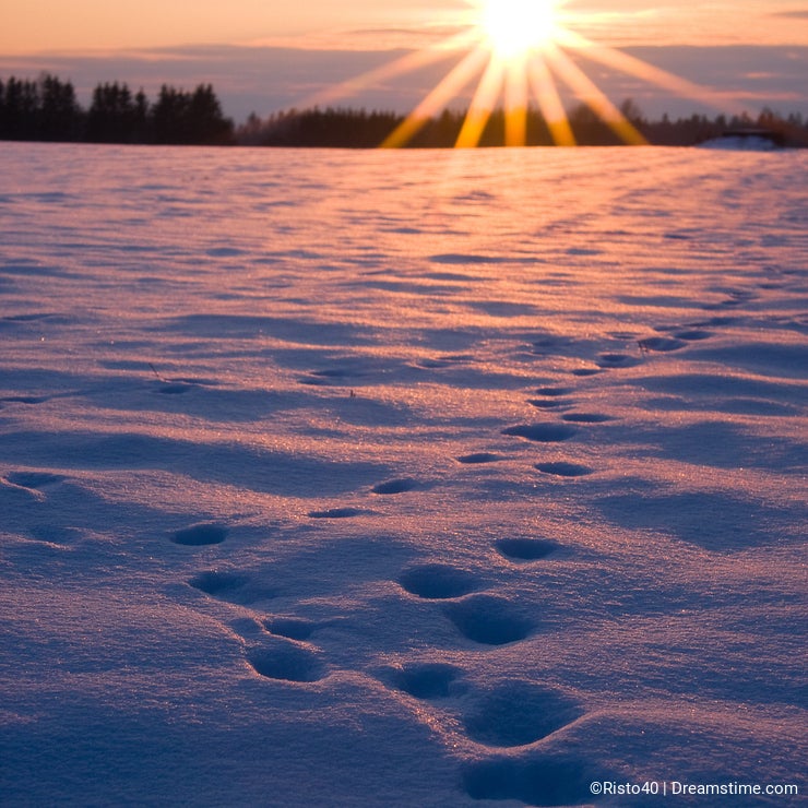 Winter evening sunset and foot prints in snow