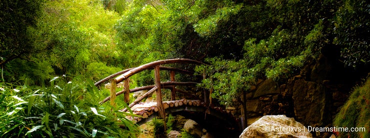 Bridge in Japanese garden