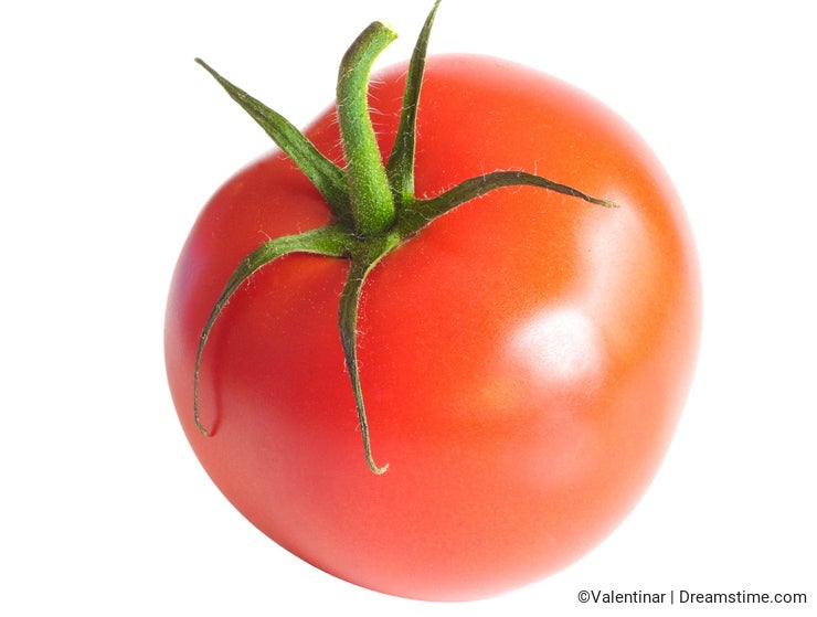 Isolated tomato