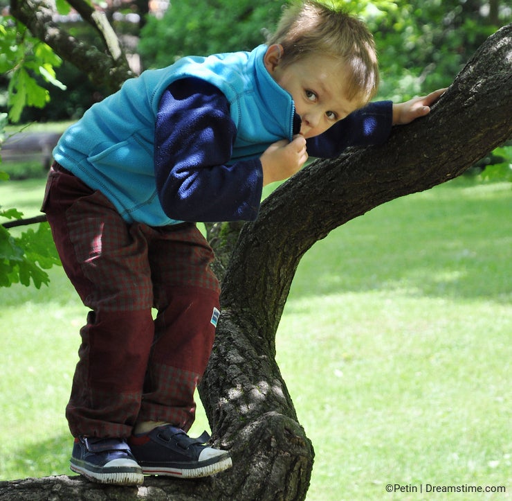 Child standing on tree branch