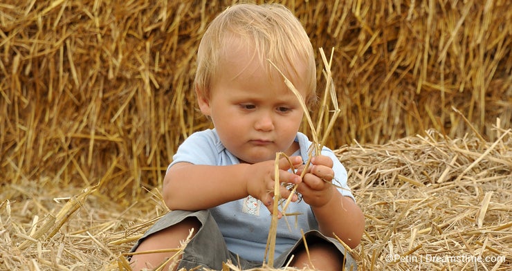 Little child in straw