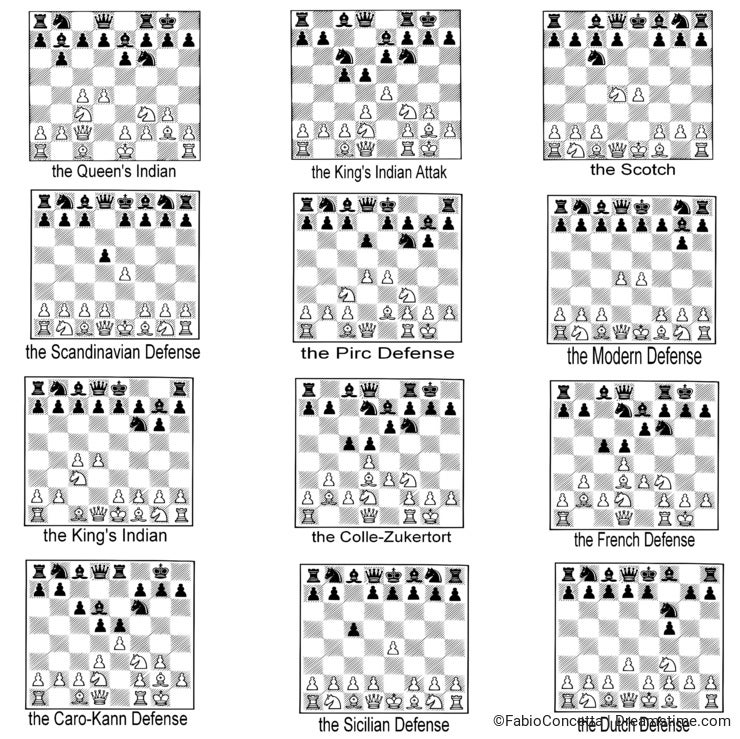 Collection of chess openings