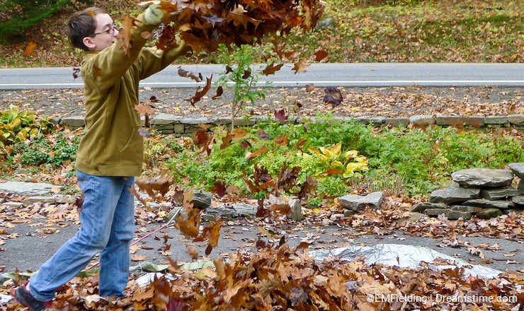 Boy playing with autumn leaves