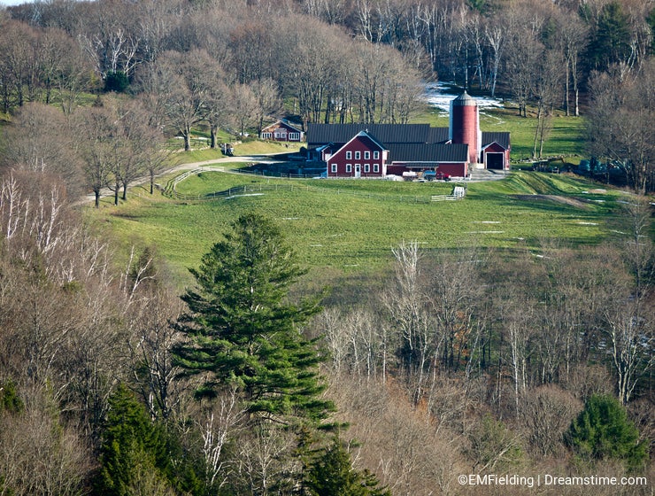 Farm, Barn, Silo surrounded by forest