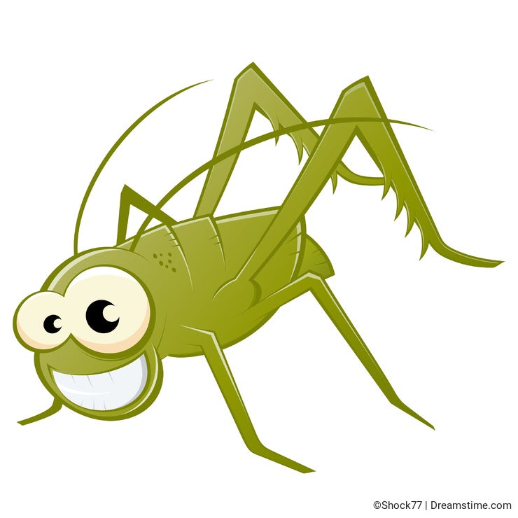 Grasshopper illustration