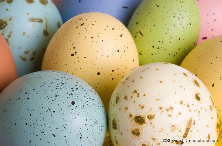 Natural Bird Eggs