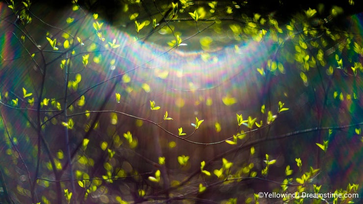 swirl bokeh lens swirl bokeh lens