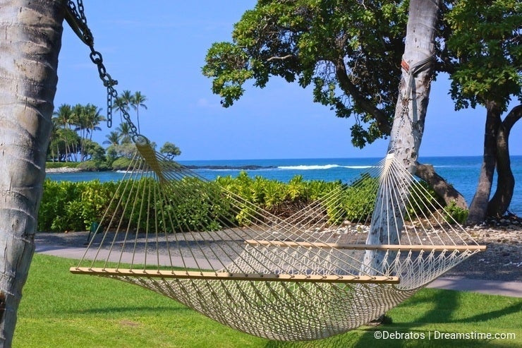 Hammock Hawaii