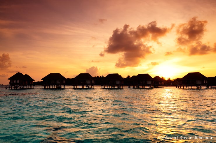 from dawn until dusk download free