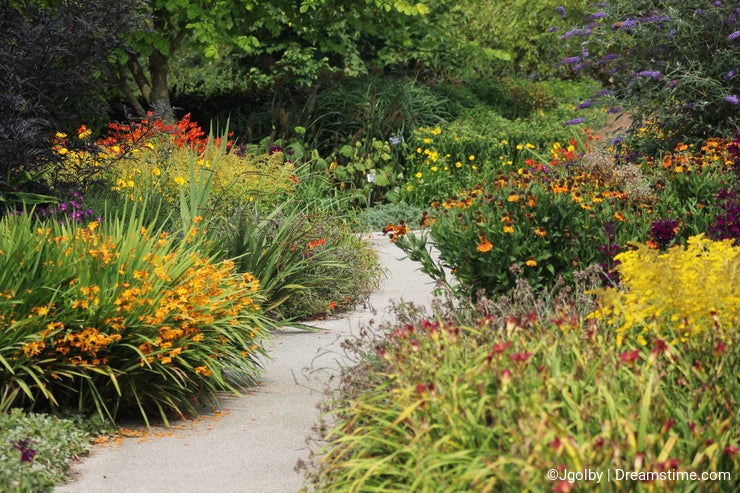 Flower Garden With Path