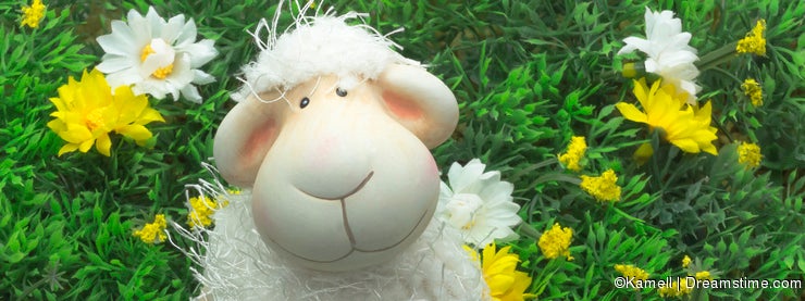 Doll of lamb