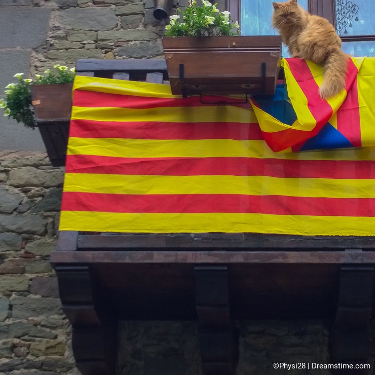 A cat for independence