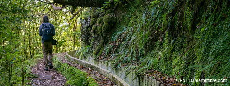 Madeira Levada walk path scenic