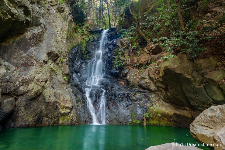 Waterfall Madeira tropical rainforest levada