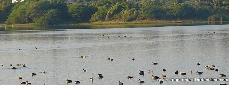 Randarda Lake, Rajkot