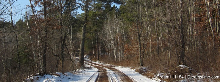White Pine Road