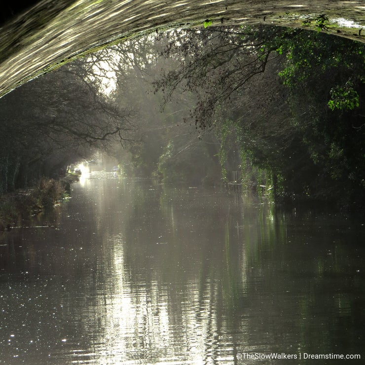 Under a bridge, by the misty River Wey, Surrey.